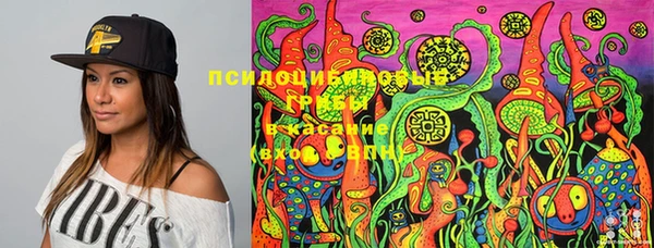 гашик Балабаново