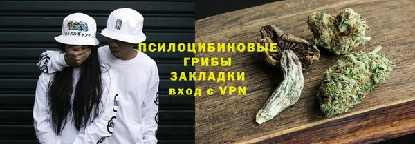 шишки Балахна