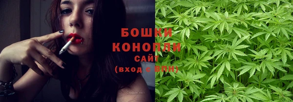шишки Балахна